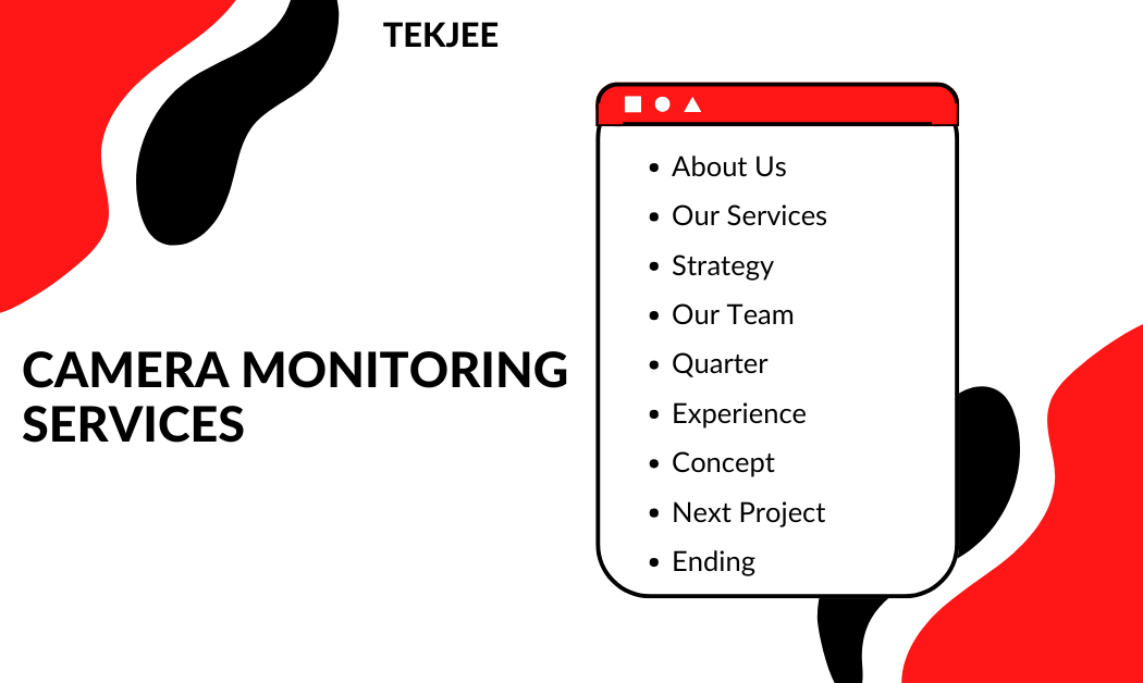 Camera Monitoring Services in the USA